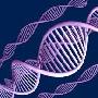 英国科学家人工方法合成XNA可实现DNA功能