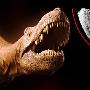 辽宁发现一例恐龙之间直接捕食的化石证据