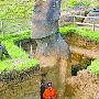 智利“复活节岛”巨像竟有身躯深埋地下