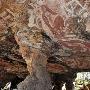 澳洲发现最古老色情壁画 可追溯至2.8万年前