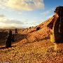 复活节岛神秘石像“行走”之谜 最重达八十吨