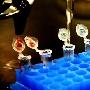 美国科学家培育出世界上第一批转基因婴儿