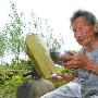 103岁老太每天喝1斤白酒从未喝醉过(图)