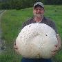 加男子发现26公斤巨型蘑菇 等同男孩体重