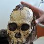 南非最新发现迄今最完整的早期人类骨骼化石
