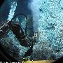 探索外星生命形式：深海发现不可思议生物量