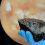 摩洛哥边境现罕见陨石 藏火星远古液态水信息