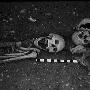 英国发现千年吸血鬼尸体 身体多处有金属钉