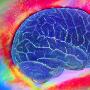 最新研究表明人类的智力正在退化