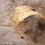 日本发现6世纪被火山灰掩埋的“庞培武士”