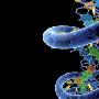 科学家称DNA具备长期存储海量信息的能力