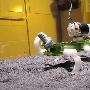 科學家設計6腿蜥蜴機器人有望未來勘測火星
