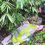 男子地震中去世 受伤黑狗守护遗体直到死去