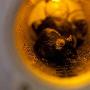 俄罗斯生物太空舱返回地球 大部分老鼠死亡