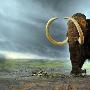 猛犸象将复活？古生物学家发现冰河巨兽血液