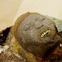 西伯利亞發現戴著銅質面具的千年木乃伊