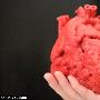 科学家称五年内将3D打印人类心脏
