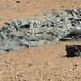 美国“好奇号”火星车发现铁陨石