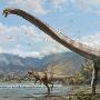 中国境内发现新种长颈龙物种化石
