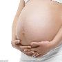科學家最新研究揭曉人類爲何不卵生繁育後代