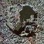 西班牙卫星拍到岛屿火山的“眼泪湖泊”