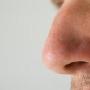 两个鼻孔会"打架" 研究证实鼻孔有嗅觉竞争现象