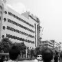 湖北通城电信局大楼顶层铁塔倒塌/图