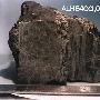 美宇航局初步研究证明：火星陨石蕴含生命(图)