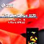 时尚之惑 情迷新"巧克力"LG BL20e评测