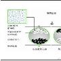 新年好礼相送 联想电子书将引领阅读新风潮