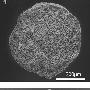 科学家推翻陨星碰撞地球酿成地球冰河时期理论