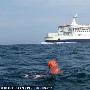 英国女子28小时游过英吉利海峡破最慢记录(图)
