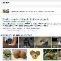 Google 搜索开始涌入更多 Google+ 内容