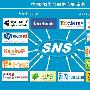 SNS+电子商务新盈利模式