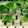 新浪微博排名（微博SEO）技巧分享