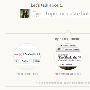 Twitter创始人新产品Branch  会是BBS的未来么？