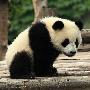 内容营销营销案例分析 应遵循的六个原则