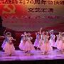 财经类一本大学排名2015