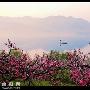 有关写景的好词好句