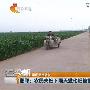 邯郸：农民夫妇下雨天撒化肥被雷击