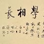 教学相长造句