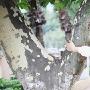 借200万尽孝 承诺下半生都给你