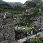 舟山最美无人村 今夏红得想静静都难