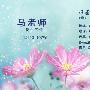 2015年监理个人工作总结