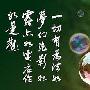 作如是观造句(2015版)