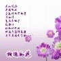 形容笑容的句子