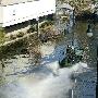 世界十大灵异事件