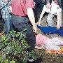 2006年大学生自杀事件大盘点
