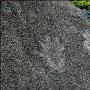 老人练“神功” 石头上打出清晰手掌印
