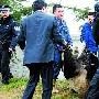 6岁大熊猫发情出逃繁育基地 两次翻越2米高围墙